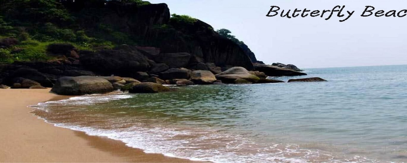 Butterfly Beach