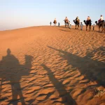 BEST OF RAJASTHAN TOUR