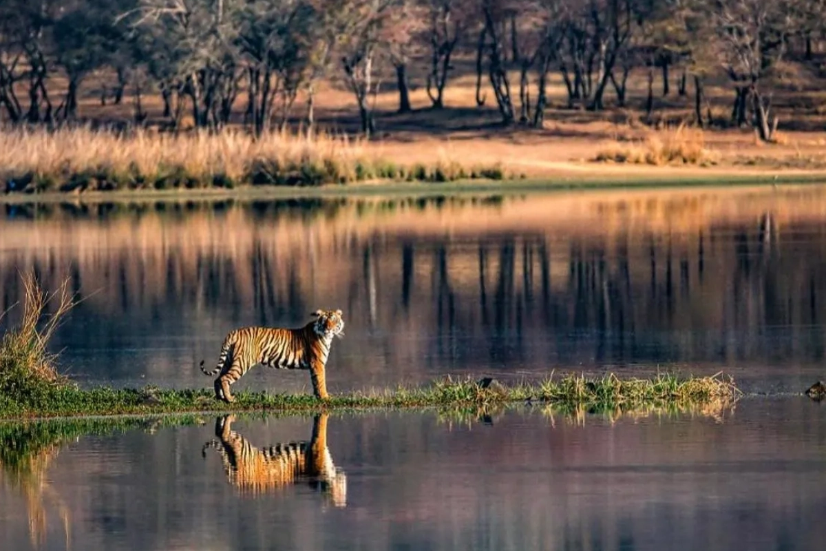 GOLDEN TRIANGLE TOUR WITH RANTHAMBORE